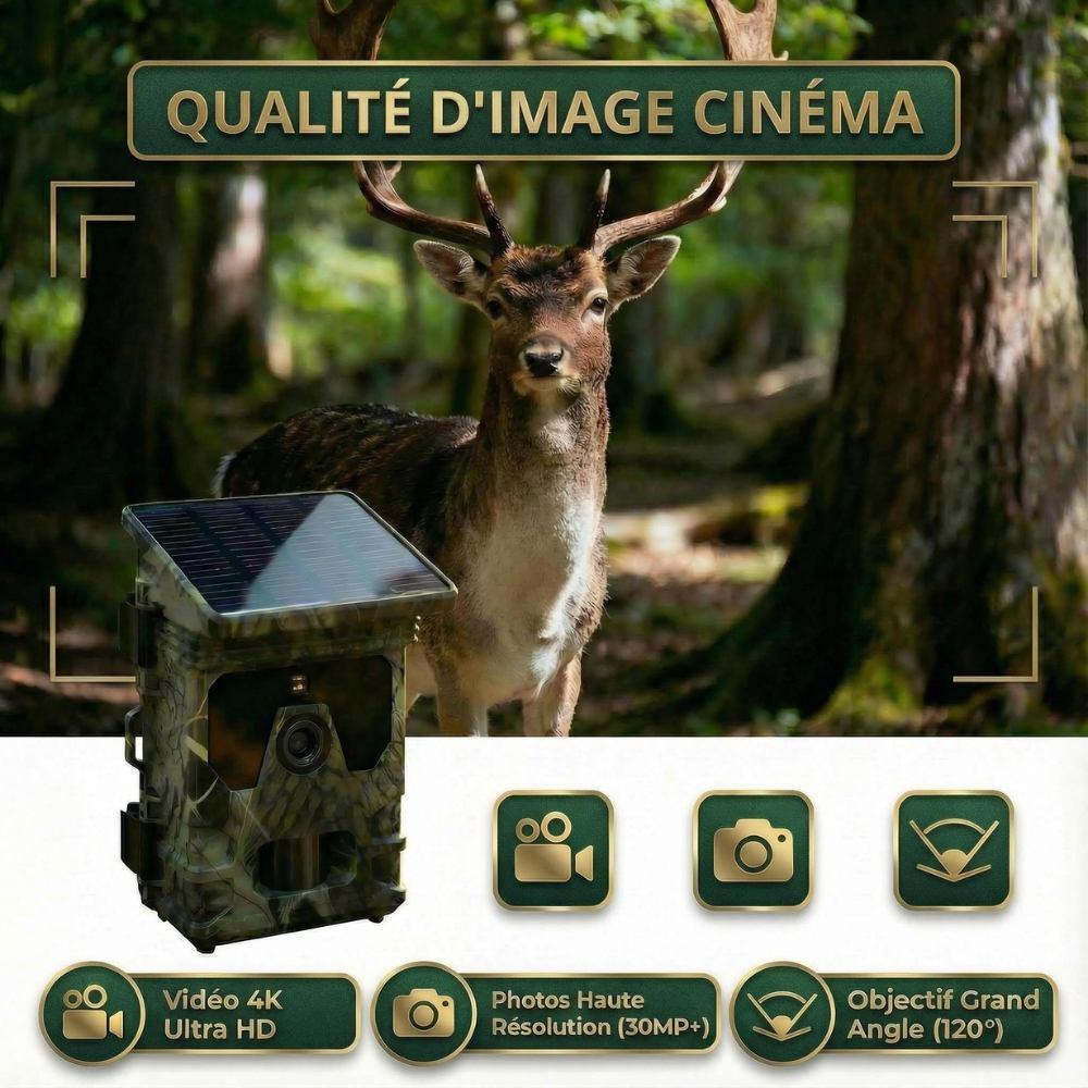 Caméra de chasse Solaire avec écran - SecurChasse®
