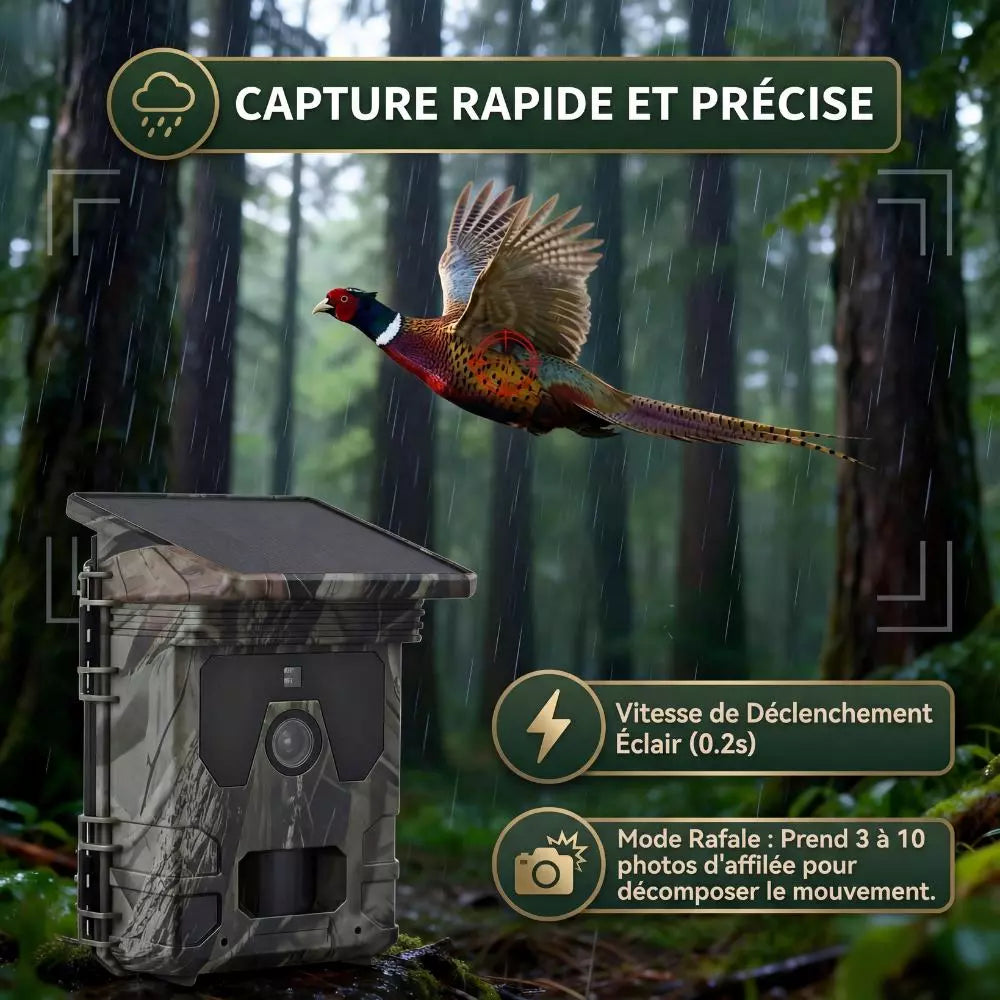 Caméra de chasse Solaire avec écran - SecurChasse®