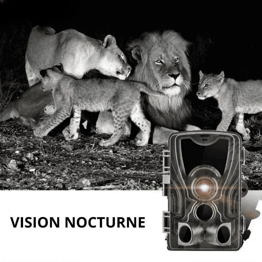 Caméra de chasse 4K avec écran