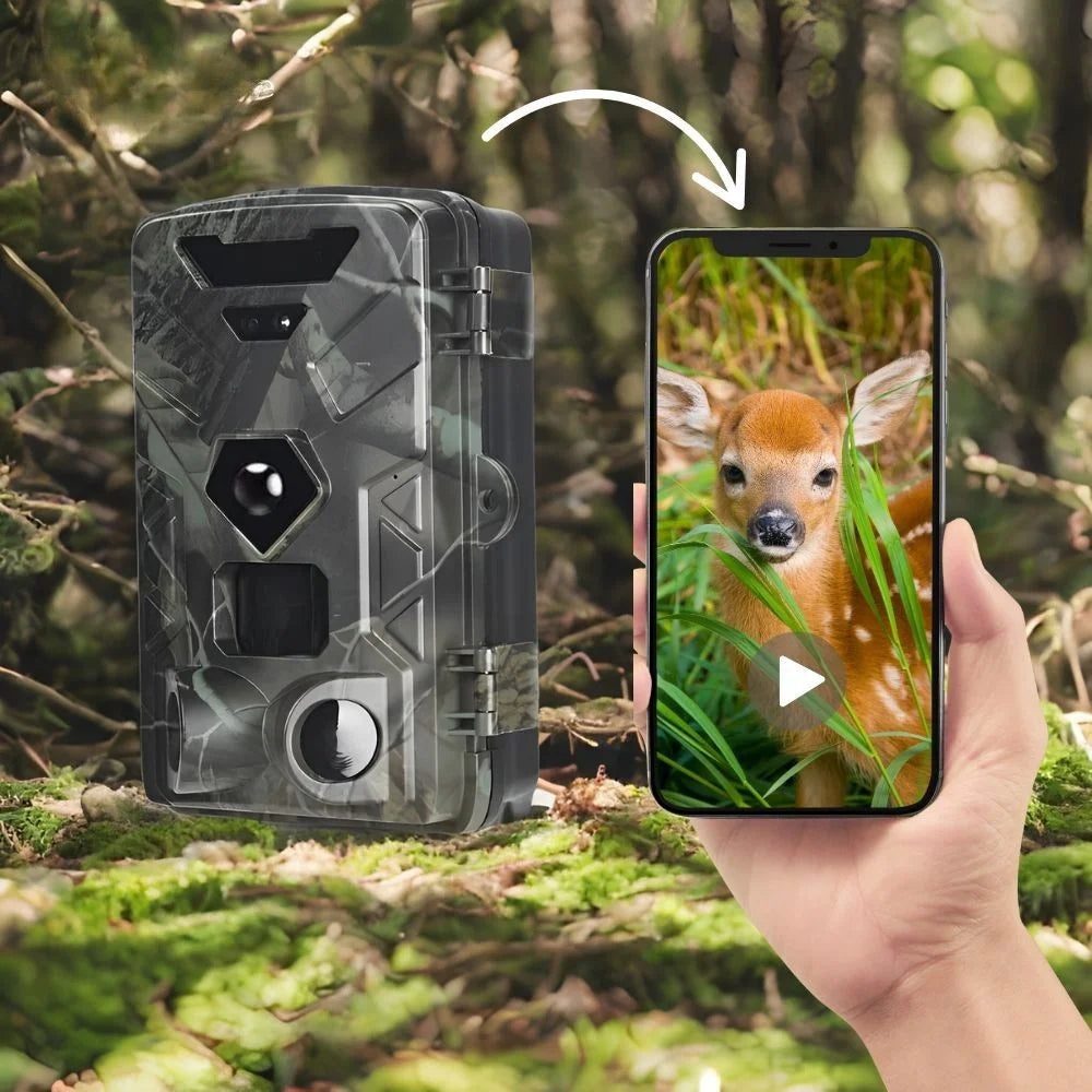 Caméra De Chasse 4G - Résolution 8K - SecurChasse®