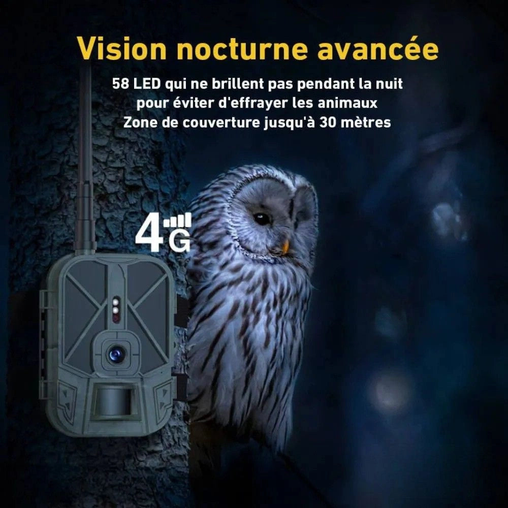 Caméra de Chasse 4G Connectée + Batterie Lithium - SecurChasse®