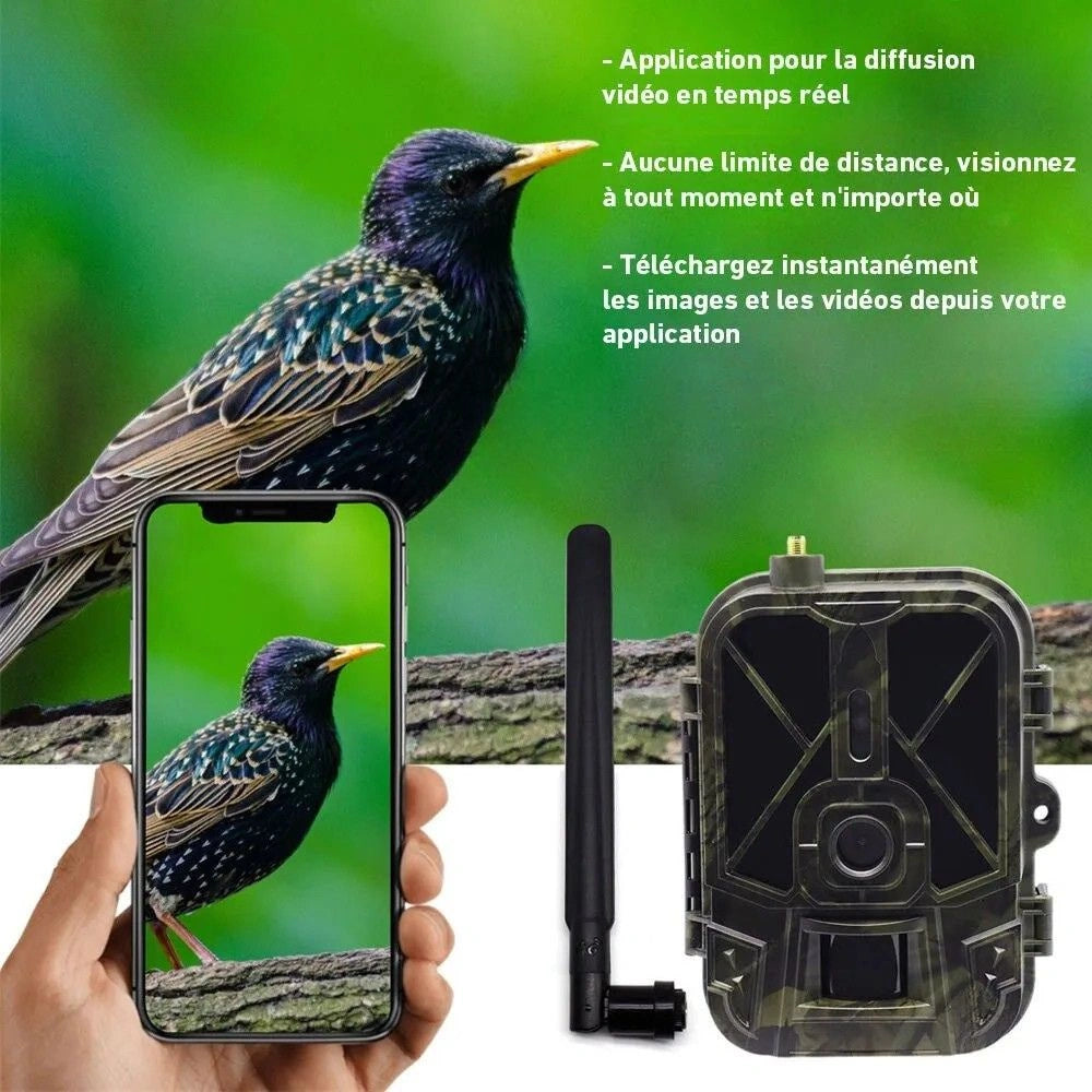 Caméra de Chasse 4G Connectée + Batterie Lithium - SecurChasse®