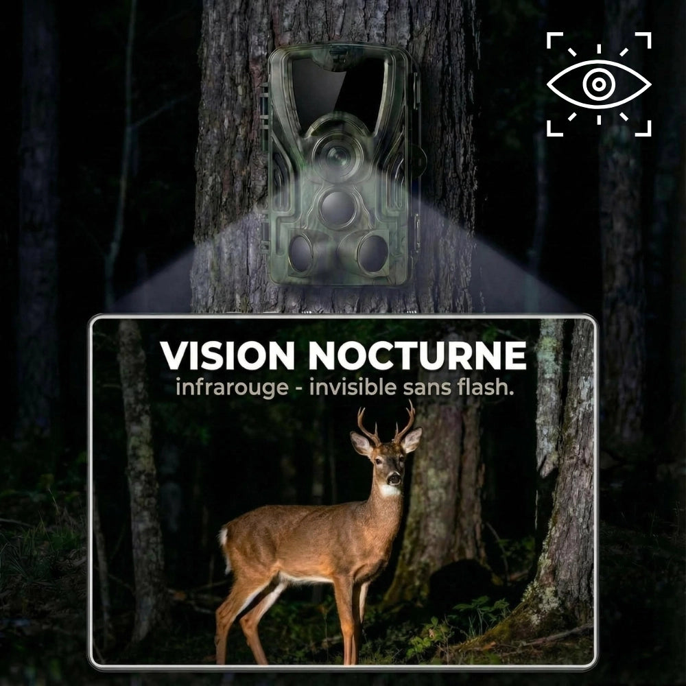 Piège Photographique avec écran - SecurChasse®