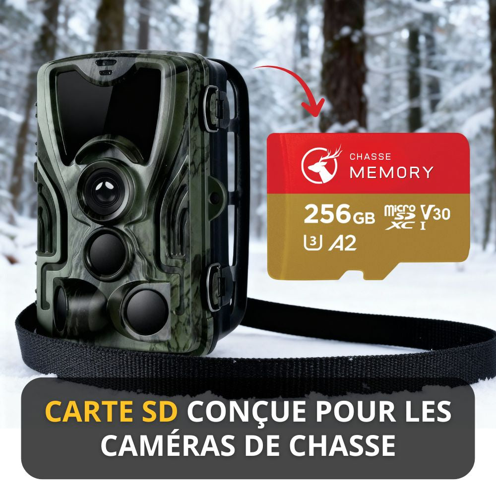 Carte Mémoire SD Ultra-Rapide – La fiabilité totale pour sauvegarder vos clichés en 4K par tous temps.