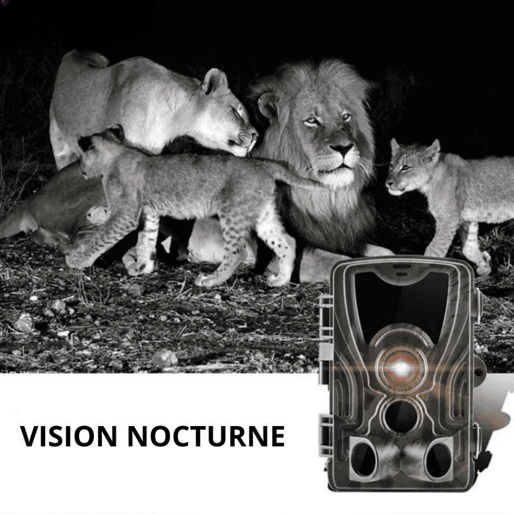 Camera de Chasse Nocturne avec écran